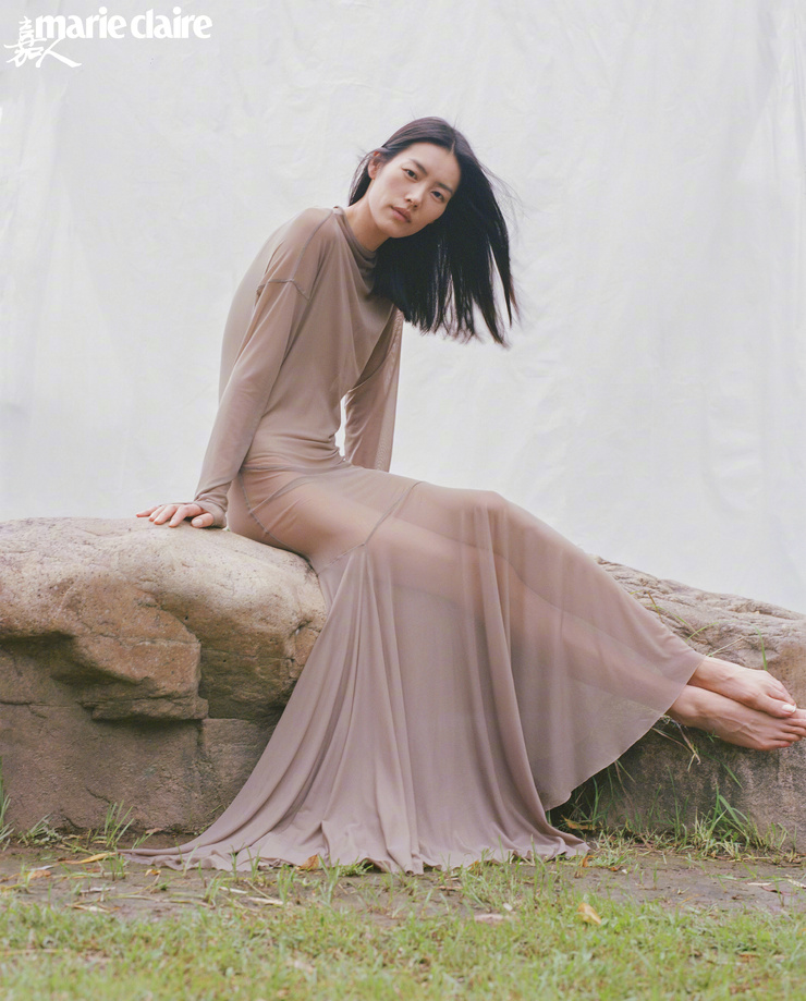 Liu Wen