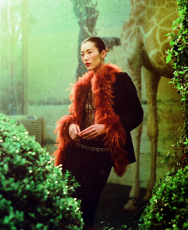 Liu Wen