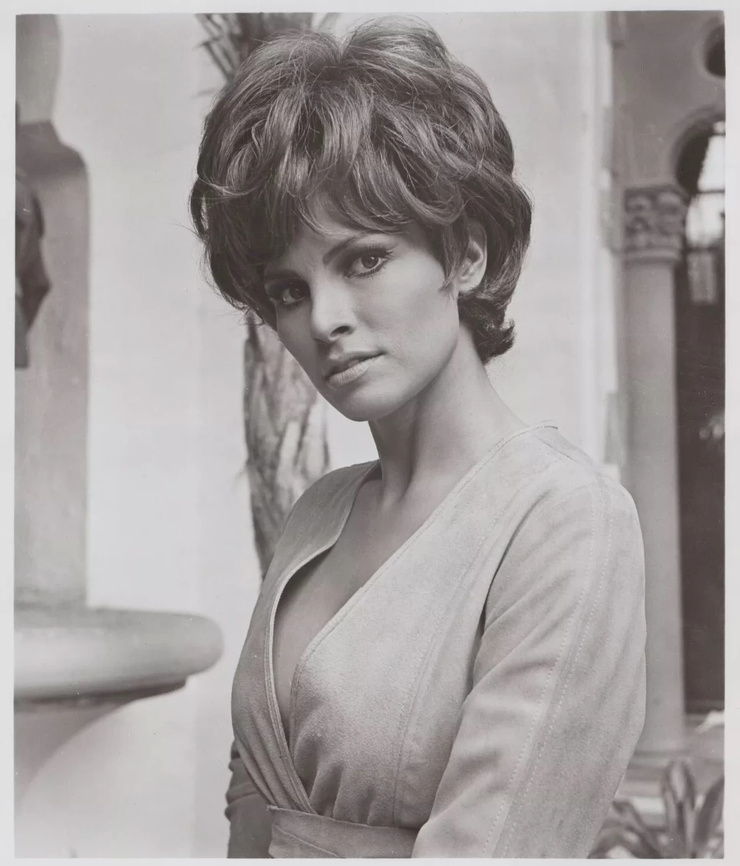 Lady in Cement                                  (1968)
