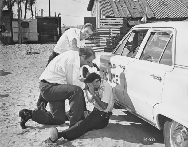 Lady in Cement                                  (1968)