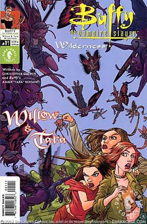 Buffy the Vampire Slayer: Willow and Tara -- Wilderness #1 (of 2)