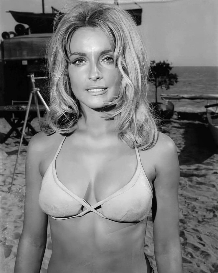 Sharon Tate Sharon Tate