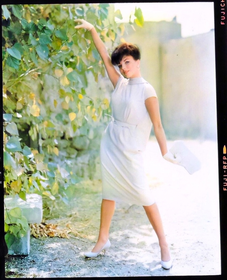 Joan Collins Joan Collins