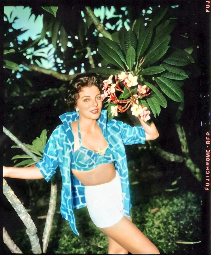 Joan Collins Joan Collins