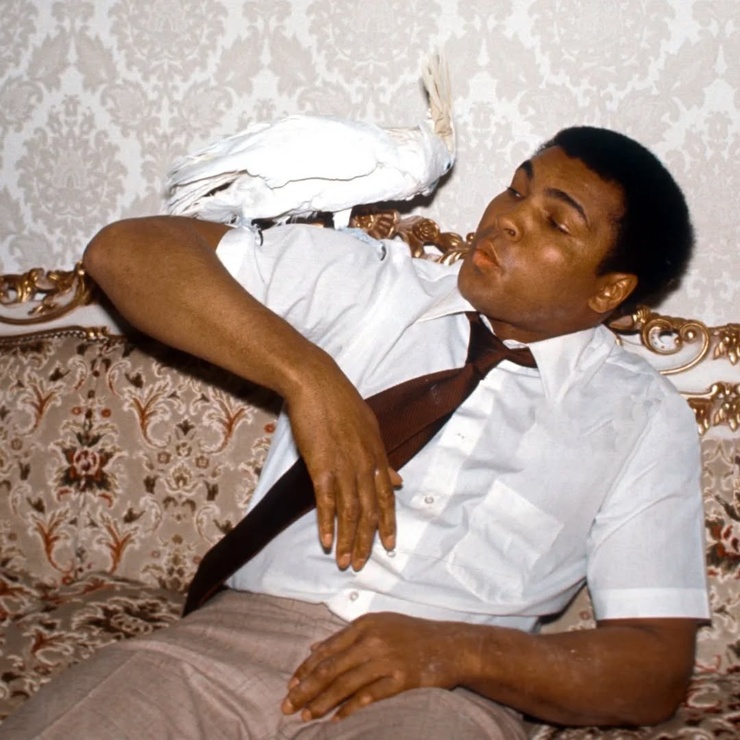 Muhammad Ali