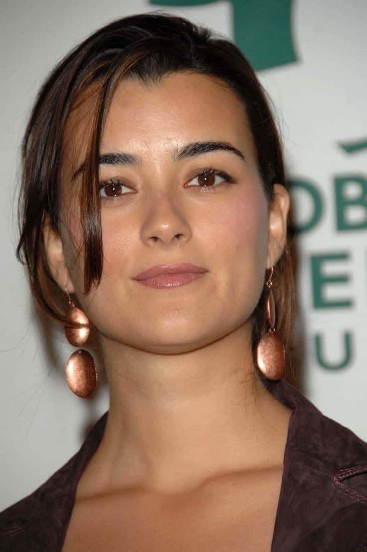 cote-de-pablo-picture
