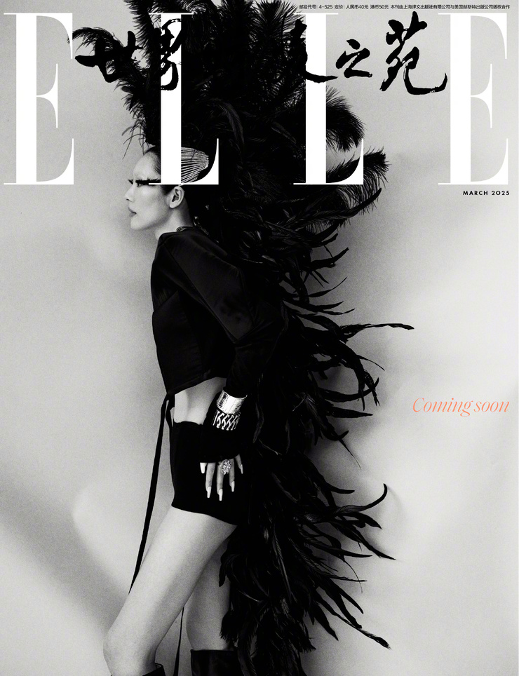 Liu Wen
