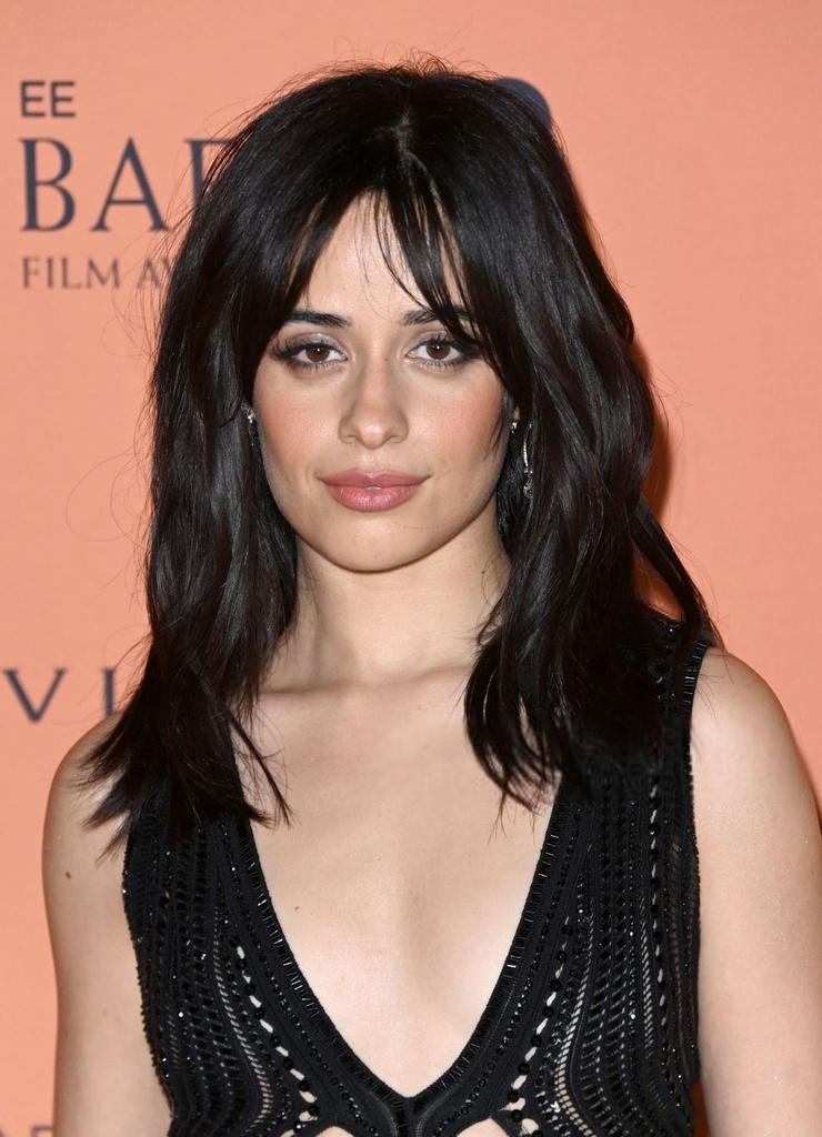 Picture Of Camila Cabello picture-of-camila-cabello