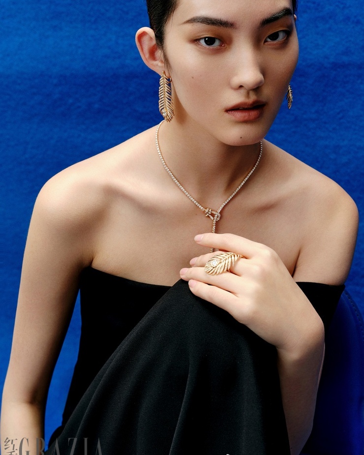 Wang Fei