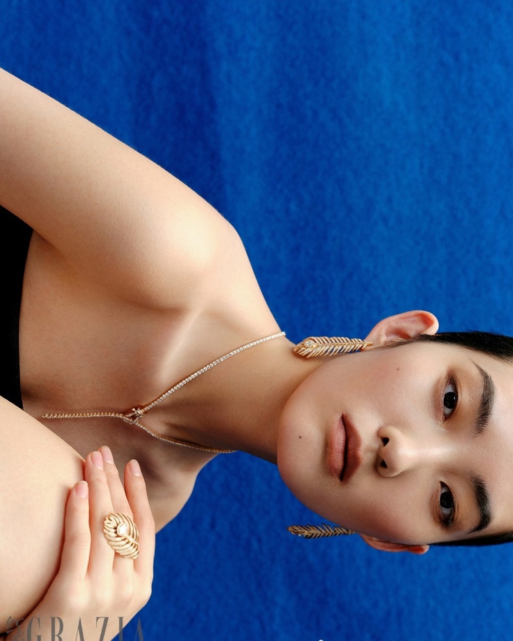 Wang Fei