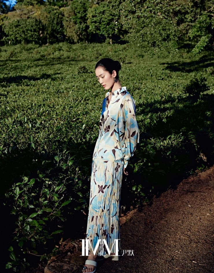 Wang Fei