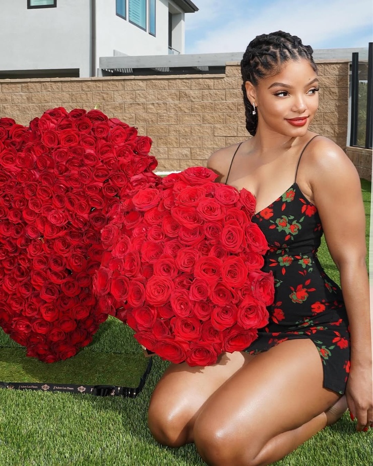 Halle Bailey Halle Bailey