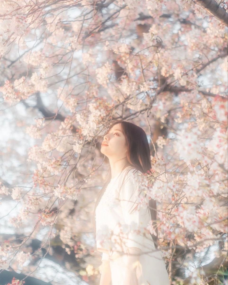 KANON (Atarashii Gakou No Leaders)