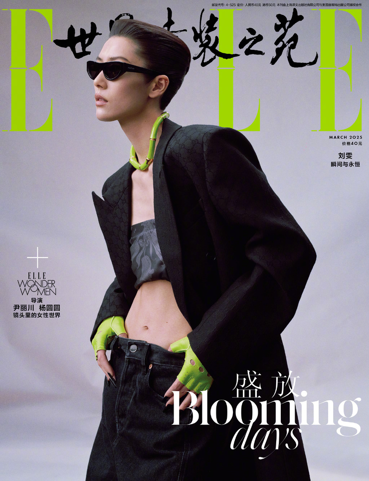Liu Wen