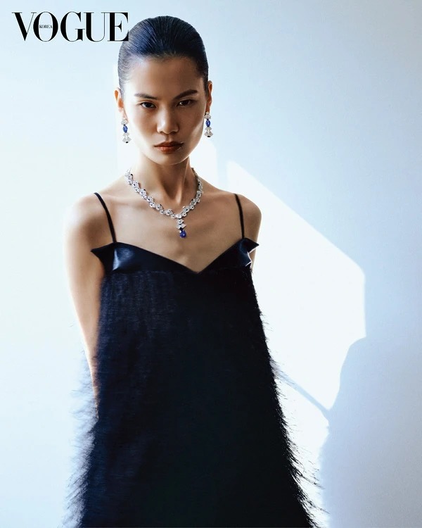 HaoJie Qi