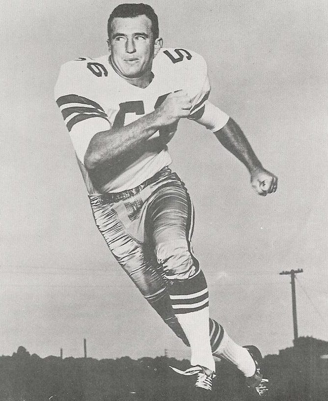 Harold Hays