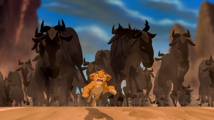 The Lion King (Two-Disc Diamond Edition Blu-ray / DVD Combo in DVD Packaging)