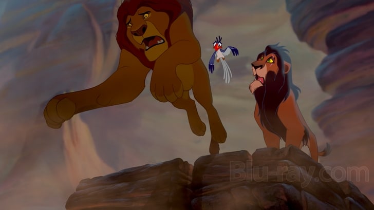 The Lion King (Two-Disc Diamond Edition Blu-ray / DVD Combo in DVD Packaging)