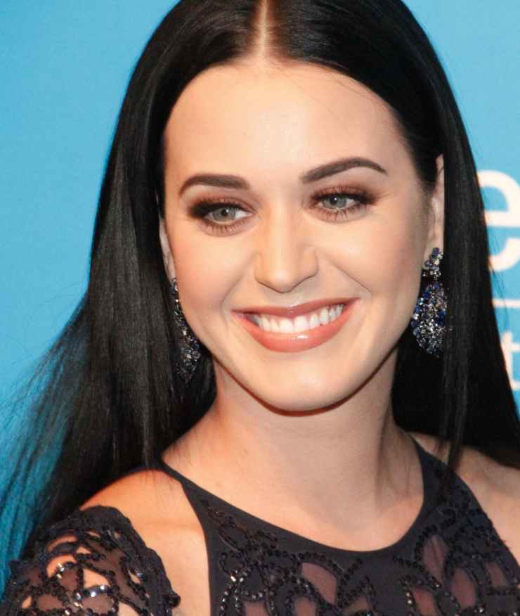Katy Perry: The One That Got Away