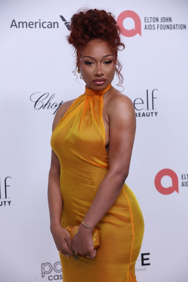 Megan Thee Stallion