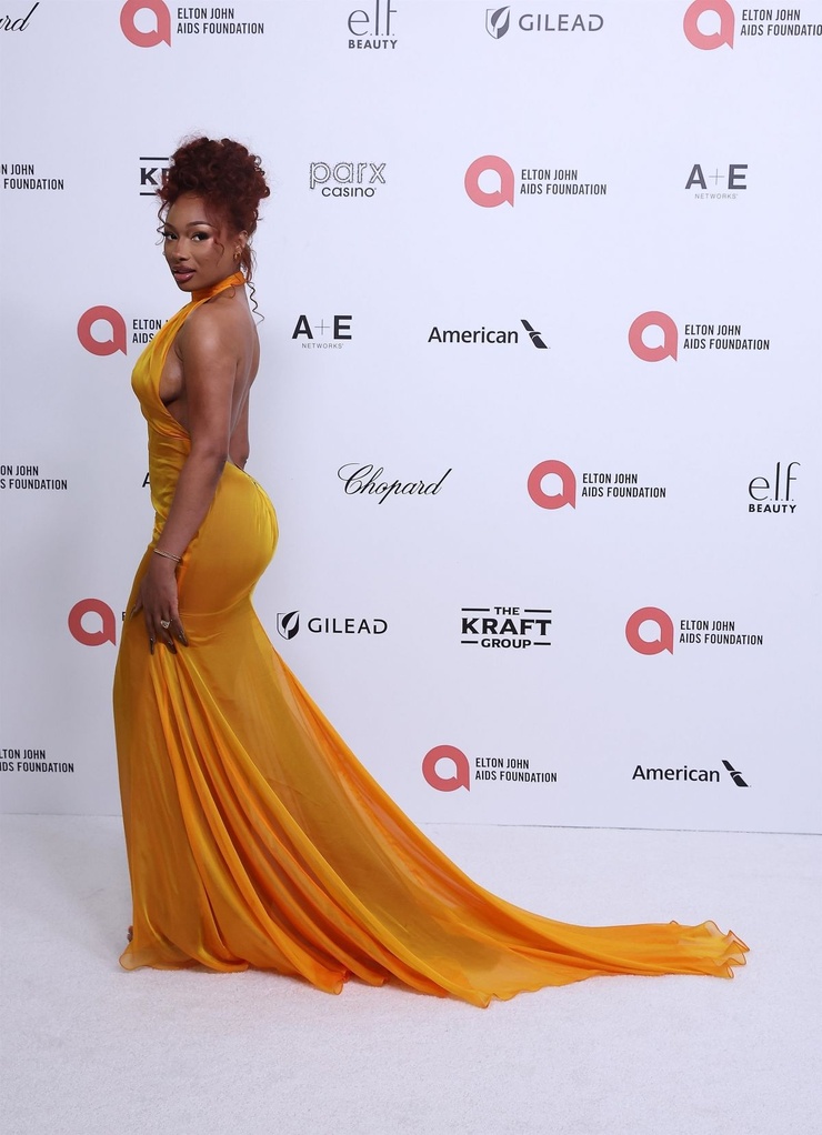Megan Thee Stallion
