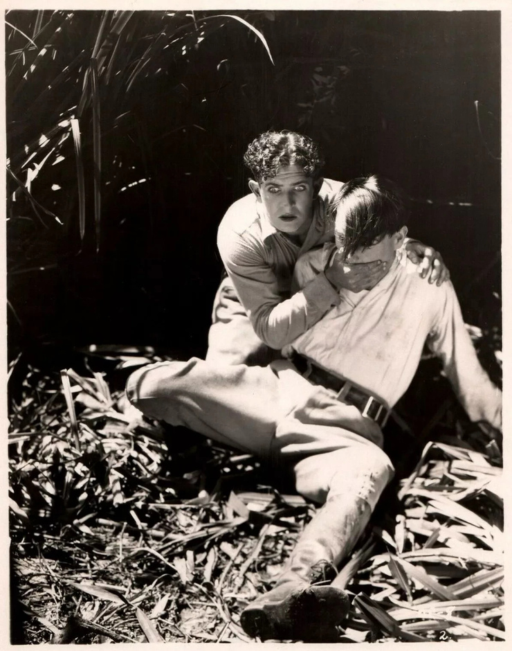 Bob Steele