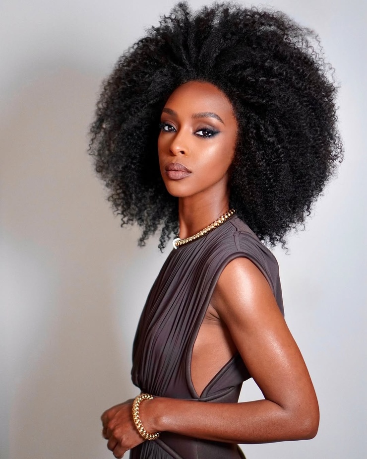 Ebony Obsidian