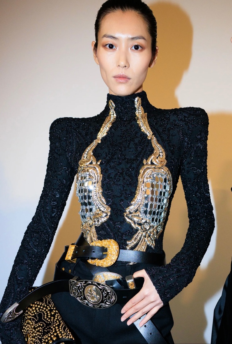Liu Wen