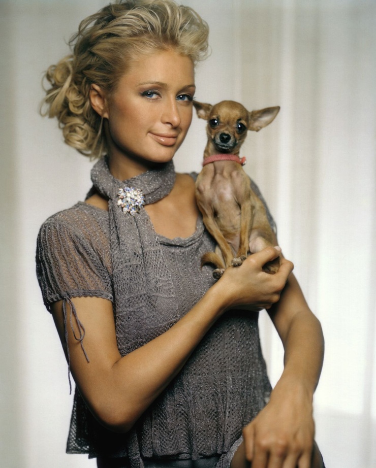 Paris Hilton Paris Hilton