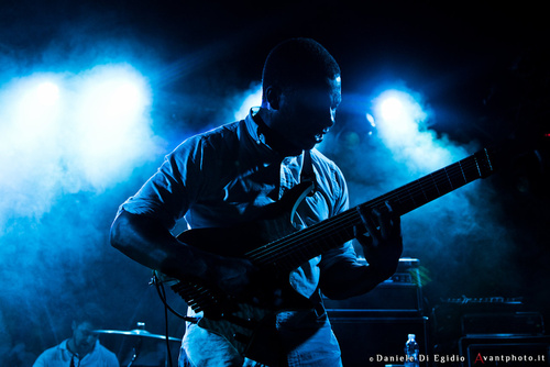 Animals as Leaders