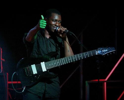 Animals as Leaders