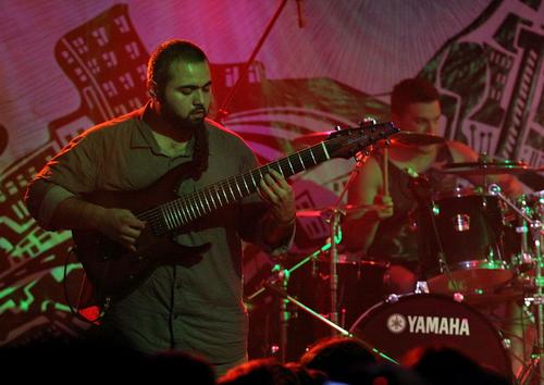 Animals as Leaders