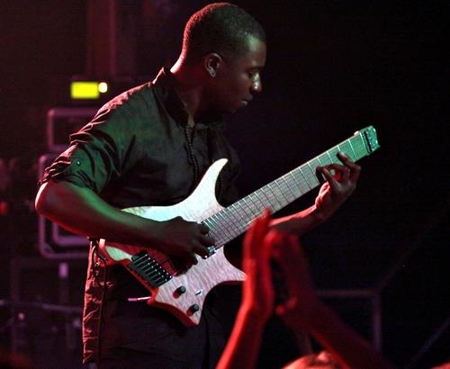 Animals as Leaders