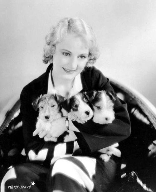 Josephine Dunn