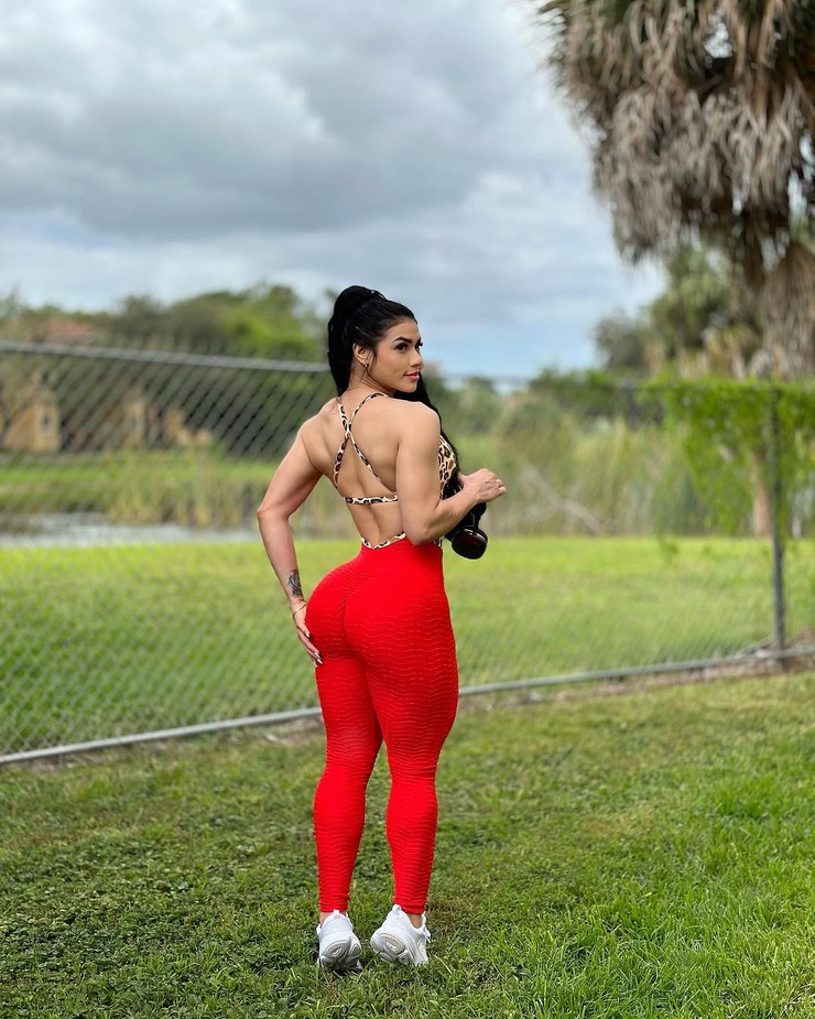 Alianyi Palmar