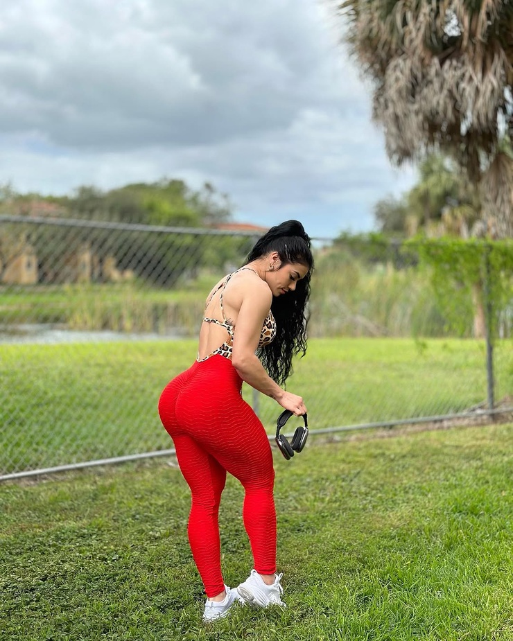 Alianyi Palmar