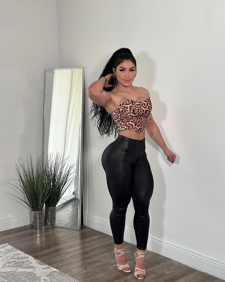 Alianyi Palmar