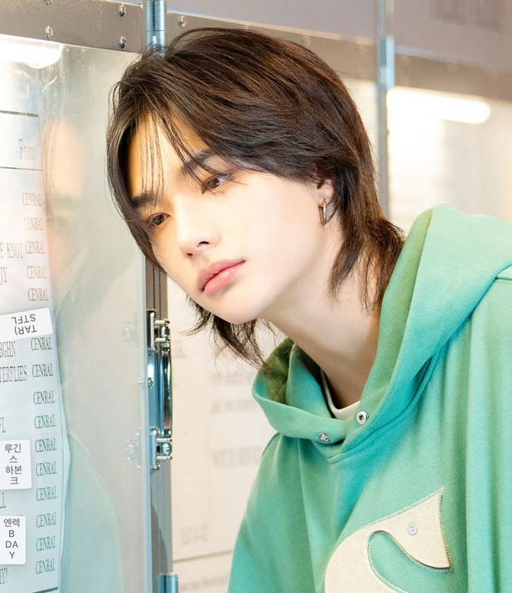 Hyun-Jin Hwang