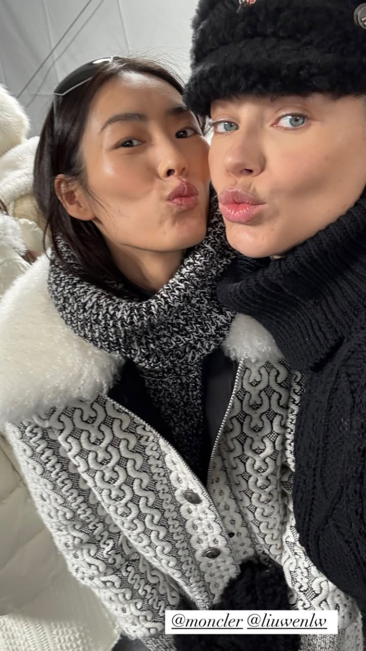 Liu Wen
