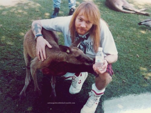 Axl Rose
