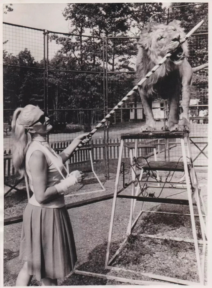 Harriet Beatty