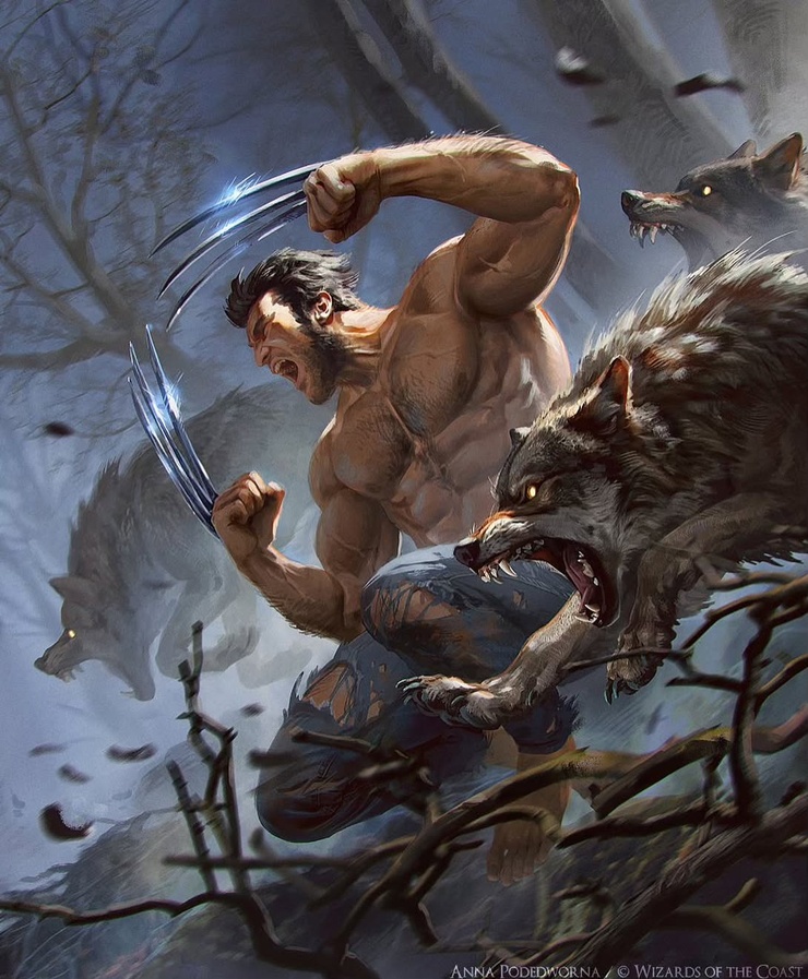 Wolverine