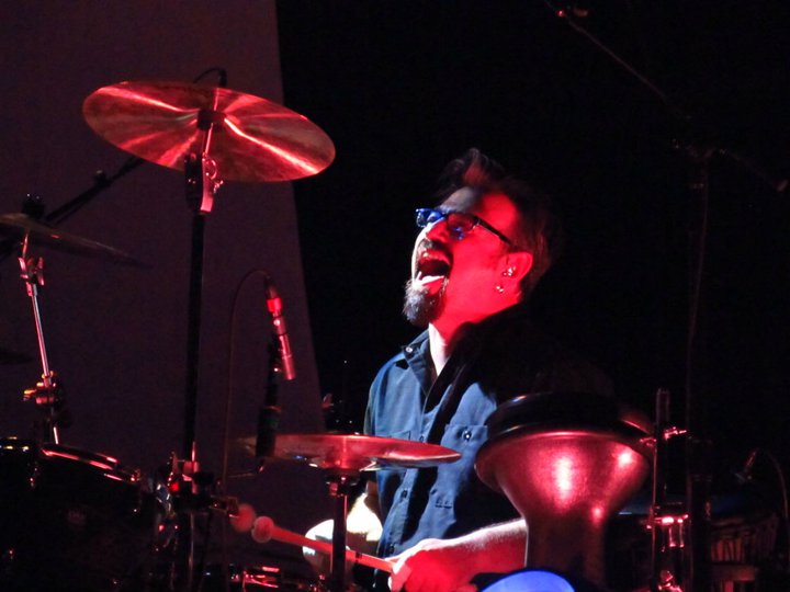 David Stefanelli