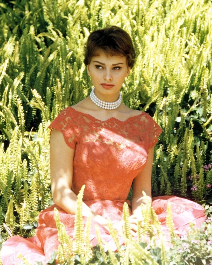 Sophia Loren
