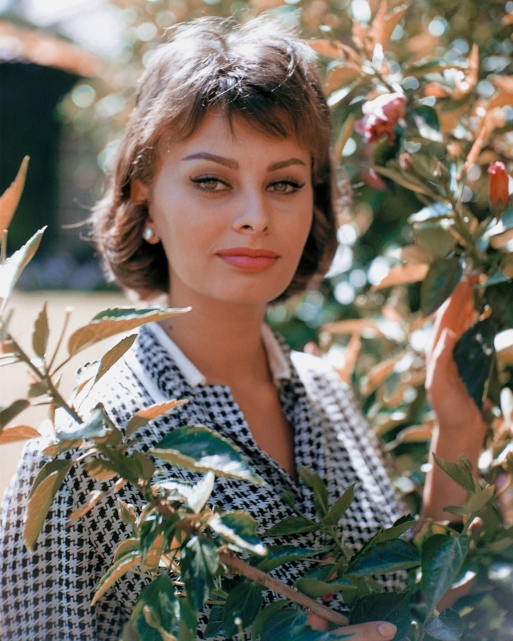 Sophia Loren