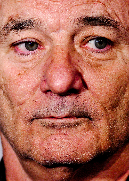 Bill Murray Bill Murray