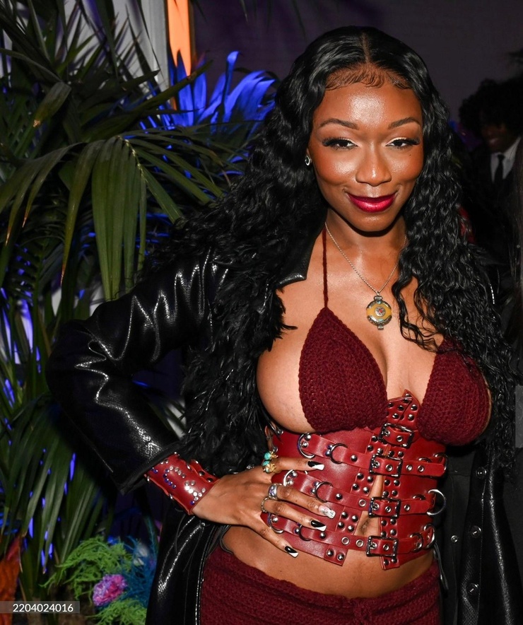 Image Of Shayna McHayle 740full Shayna Mchayle 