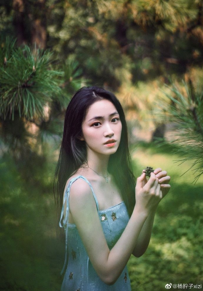 Yang Xi Zi