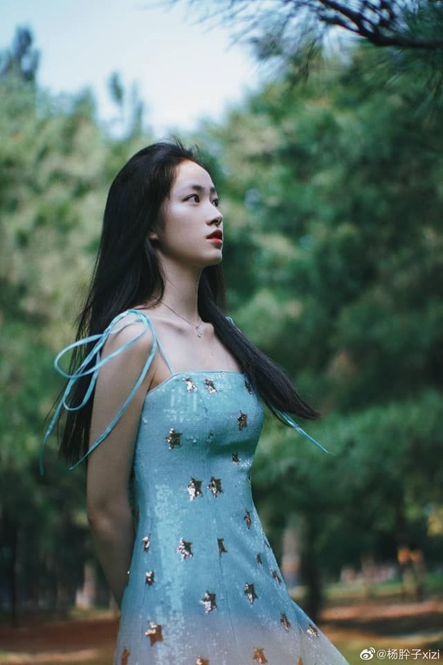Yang Xi Zi
