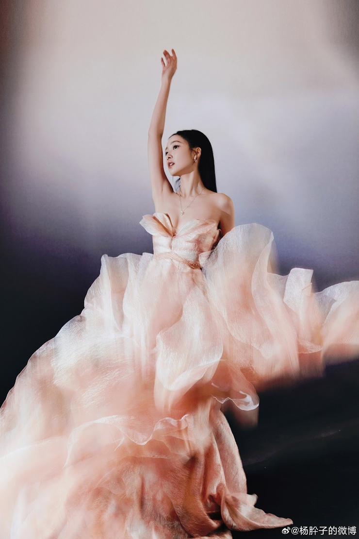 Yang Xi Zi